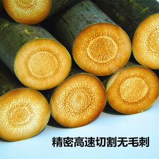 实心玉竹原材料毛料竹子文玩手把件高密度鱼子纹买一送一收藏再送