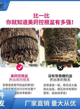 美料莳根花盆塑树脂透气性好月的加仑青SR170C山家控用季绣球兰花