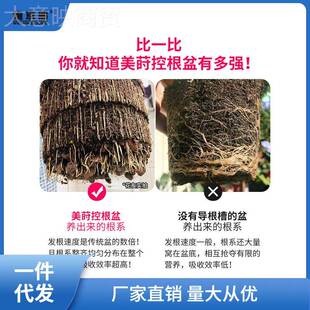 美料莳根花盆塑树脂透气性好月的加仑青SR170C山家控用季绣球兰花