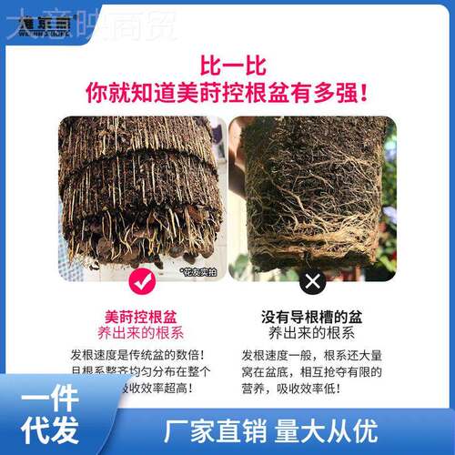 美料莳根花盆塑树脂透气性好月的加仑青SR170C山家控用季绣球兰花