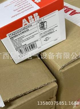 MCB漏电保护6断路器2TAZ22404RIFG2161tGS2H24 A-0D1/0.03