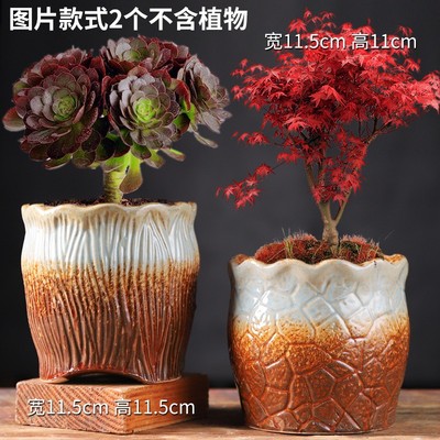 陶瓷多肉花盆大号老桩花盆特价创意法师陶罐粗陶肉肉植物花盆包邮