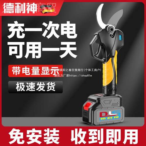 修德国电动修枝剪树枝剪果树剪电剪SZM刀充电式园刀林粗锂枝剪