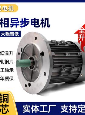 YS802-4厂家直销750W功率电机铝壳三相电动机1400转速大法兰电机