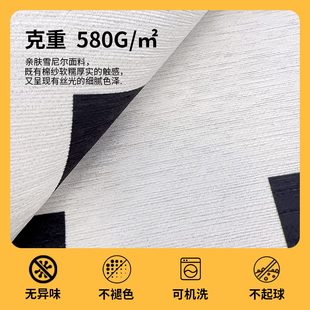 地垫可机洗分层可拆卸家用地毯 奶油风可拆洗双层地毯客厅2024新款