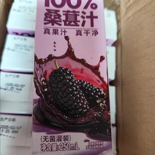 桑葚原浆正品黑枸杞桑椹果汁100纯原液果汁鲜榨花青素0添加蔗糖