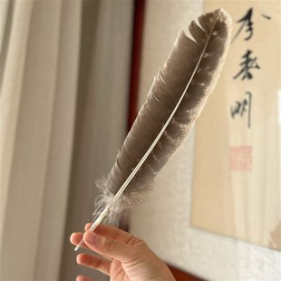 黑火鸡羽c毛 羽毛 风元素(净化套装工具之一)