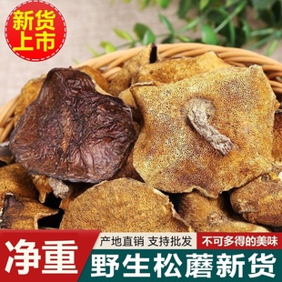 东北野生松蘑菇松蘑松菇粘团子蘑菇土信松蛾子粘蘑干货特级500g