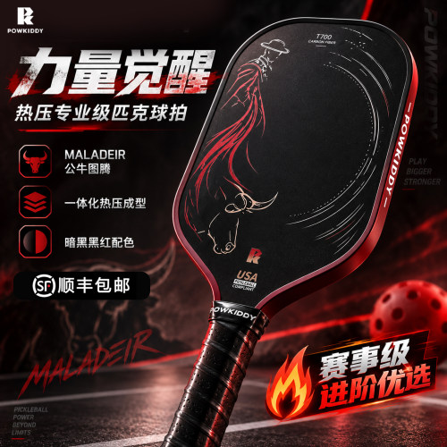 pickleball专业级T700匹克球拍