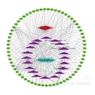 蛋白互作 网络药理学 cytoscape gene 聚类热图 hub Ppi