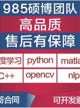 python算法复现优化图像识别强化学习深度学习Matlab建模仿真指导