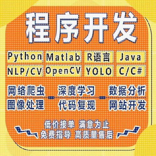 python代做编程matlab代码帮跑通深度学习机器R语言yolo算法覆现