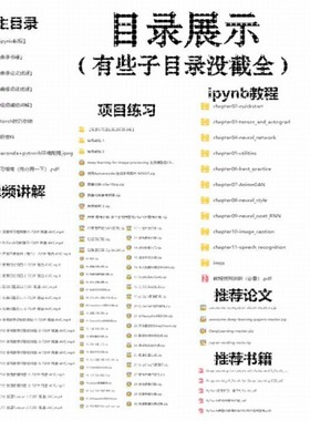 深度学习 神经网络/AI人工智能/入门级学习资料/编程项目/Pytorch