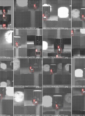 yolov5目标检测/图像分类/实例语义分割部署和源码Python/C++/C#