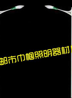 江苏路灯厂家高频无极灯68910米单臂道路照明灯马路灯