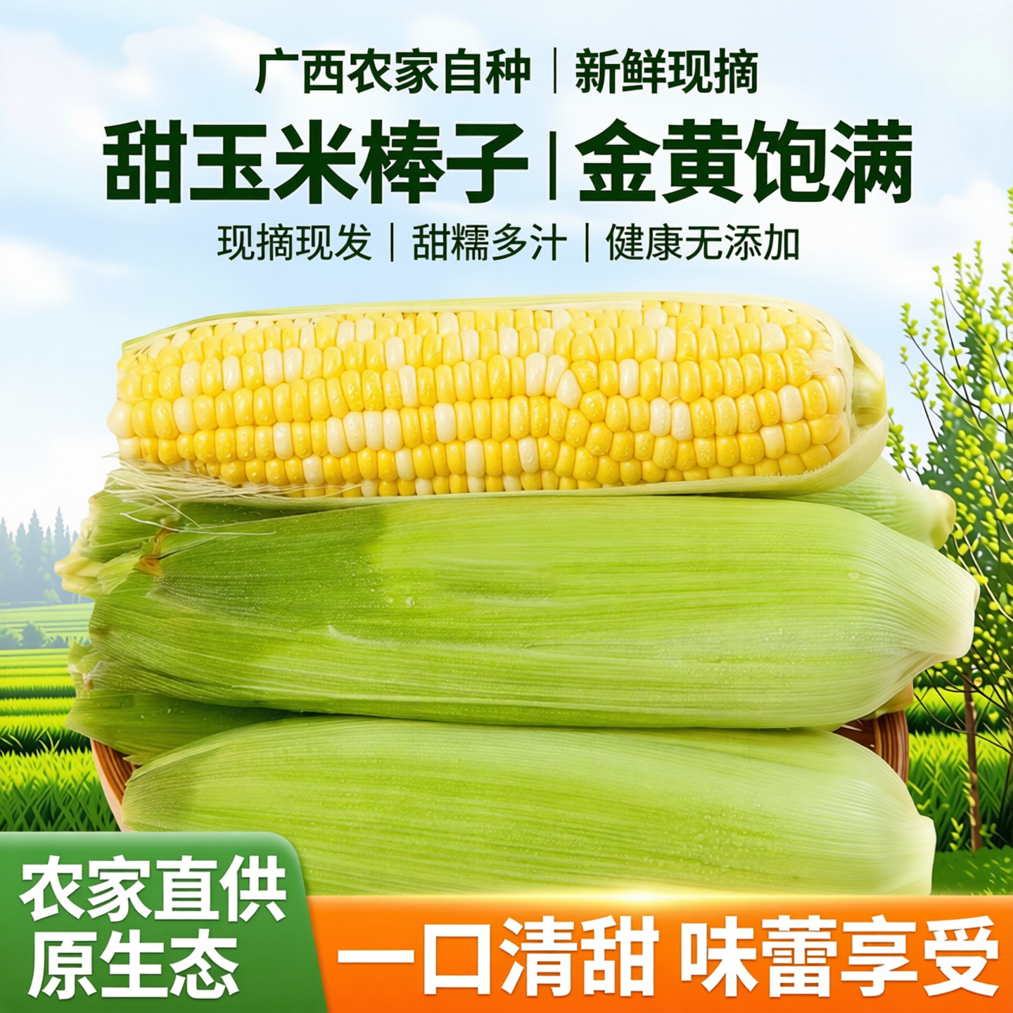 广西农村自种甜玉米黄农家菜黄玉米嫩玉米棒子新鲜水果玉米现摘甜