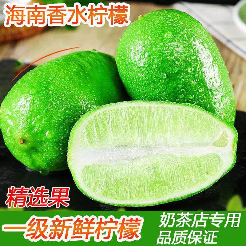 广东香水柠檬新鲜一级果应当季水果无籽青柠檬榨汁奶茶店果汁用顺