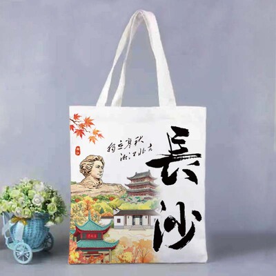 旅游长沙纪念帆布包ins通勤伴手礼袋单肩手提袋学生包女补习装书