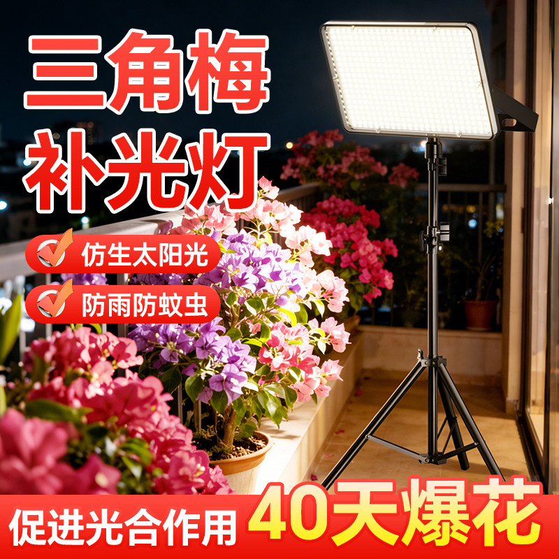 【植物生长专用】补光灯图片