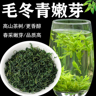 小叶苦丁茶毛冬青毛冬青云南野生茶旗舰店正品非特一级降火苦丁茶