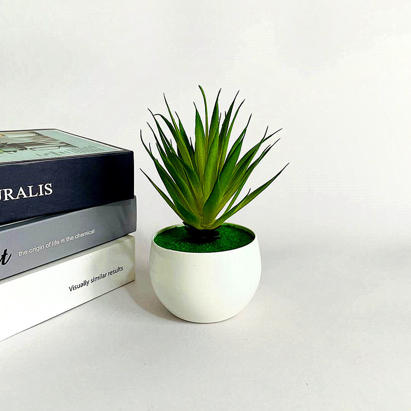 仿真多肉植物假花盆栽仿真绿植盆景仿真小剑兰盆景摆件货源