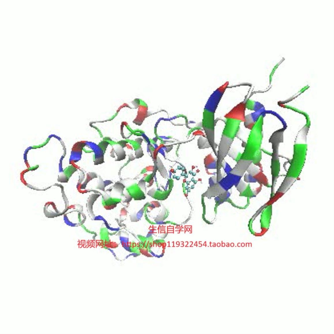 分子动力学模拟影片(Gromacs软体/基于于分子对接结果)
