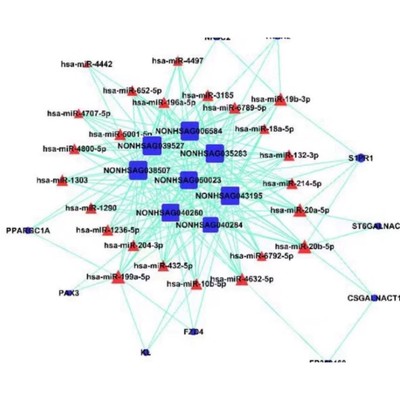 弋谢组学biomarker筛选诊断模型构建ROC曲线医学研究