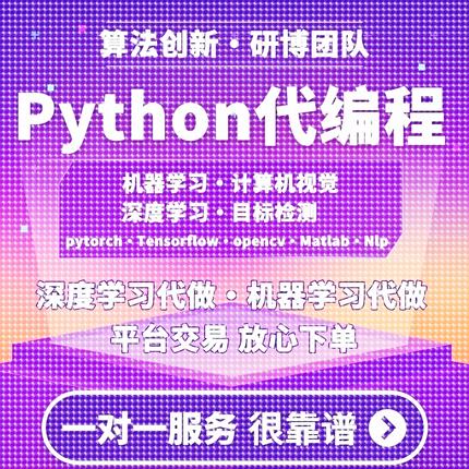python代编程深度学习代做代码指导调试算法改进模型创新程序跑通