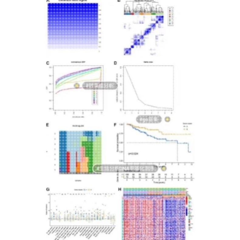 生信分析单细胞转录组geo数据库挖掘测序分析网络药理分子对接