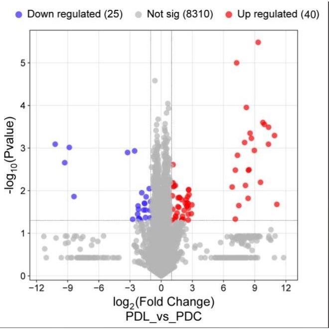生信分析服务单细胞测序TCGA GEO公共数据库转录组数据分子对接