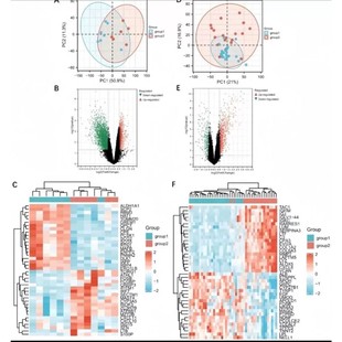 生信分析服务TCGA GEO数据挖掘转录组测序单基因多组学联合分析