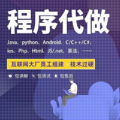 python代做c++程序c编程辅导java代码php设计c#编程vb