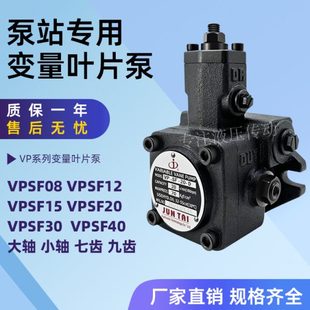 变量叶片泵 俊泰油泵VP