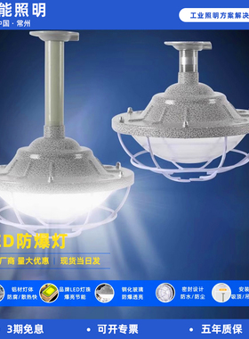 今能照明LED防爆灯仓库厂房灯隔爆加油站IICT6车间防水防尘照明灯