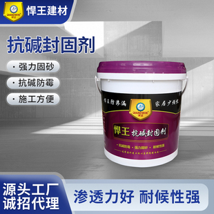 抗碱封固剂抗碱封固剂防潮防霉强力固砂强力渗透返碱加固腻子层