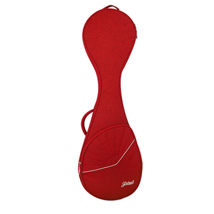 金川琵琶包加厚双肩琵琶琴包折扇印花琵琶包轻Q便便携琵琶套琵琶