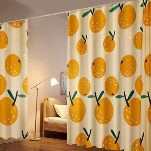 隔间拉帘出租屋隔帘隔断客厅空调房隔热隔断帘卧室出租房分间遮挡