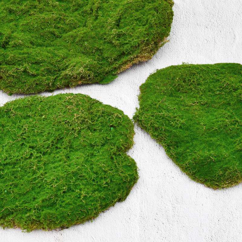 仿真苔藓草皮仿生人造假青苔微景观布置摆件草坪盆景盆栽铺面造景,农机/农具/农膜,割灌机/割草机/油锯,淘宝优惠券,粉丝福利购,淘宝优惠卷