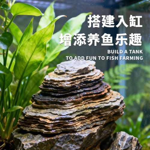 鱼缸天然造景石千层石小块乌龟晒台原石假山盆景微景观奇石溪流景