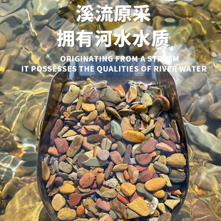 溪流石鱼缸专用大块观景石溪流缸底砂片岩溪流沙超细砂石南美龟缸