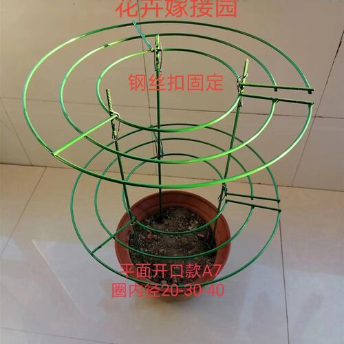 蟹爪兰花架大号开口圈多层花卉z架火龙果叶仙开口支架铁制品不风