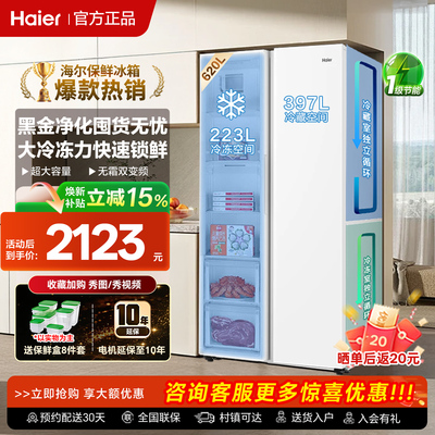 海尔620升对开双门家用无霜冰箱