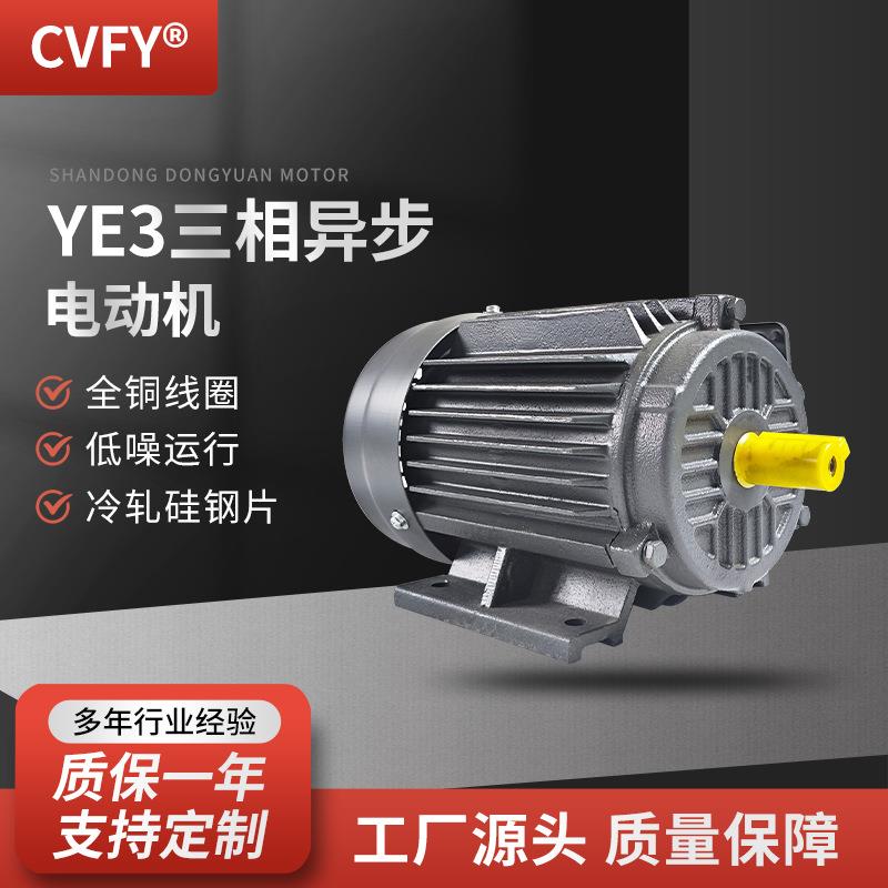 三相异步电动机YE3-250M-8极交流电机30W380V食品机械用马达