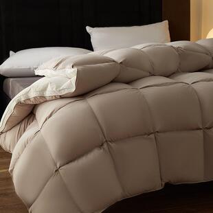 莱赛尔天丝雁鸭绒羽绒被加厚冬被芯双人春秋被子保暖四季被褥轻薄