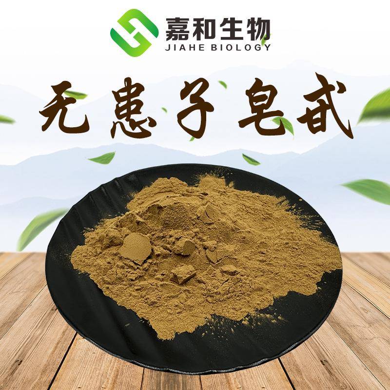 无患子皂甙40%60%80%无患子皂甙粉无患子皂苷无患子提取物