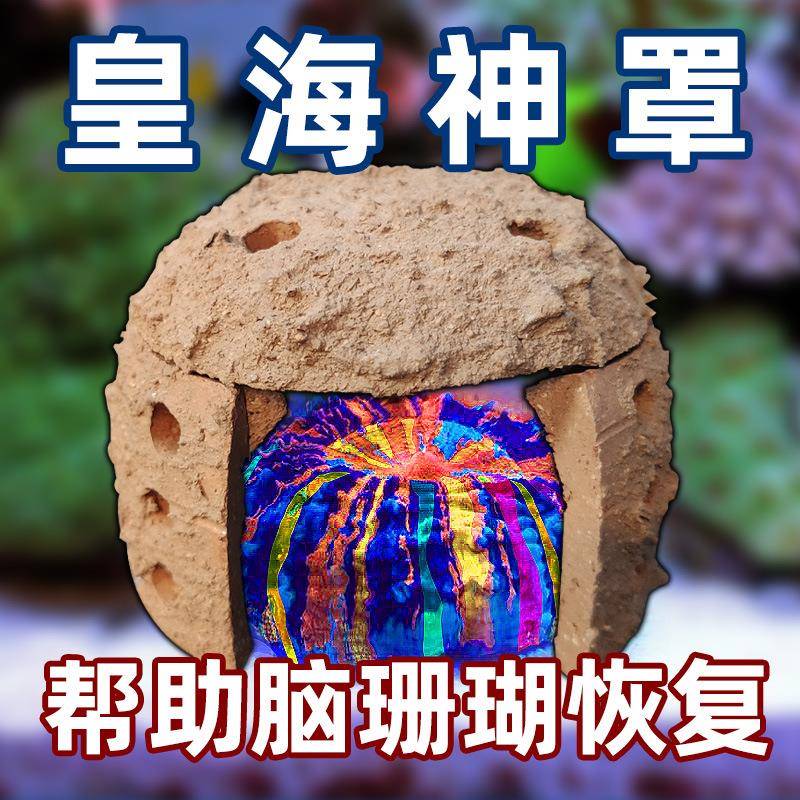 皇海神罩脑珊瑚恢复救治富士脑甜甜圈八字巴黎巴里水晶脑遮光挡流