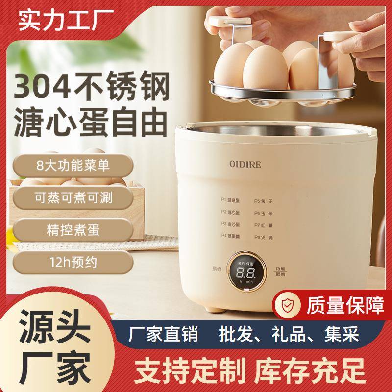 煮蛋器煮鸡蛋多功能小型温泉煮蛋机蒸蛋器防干烧可定时自动断电