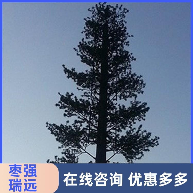 瑞远城市景观公园绿化美化仿生树室内外装饰通讯基站仿生树