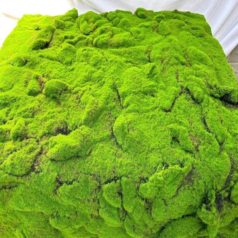 仿真装饰品永生苔藓青台地毯草坪植物绿植墙门头园林景观绿植造景