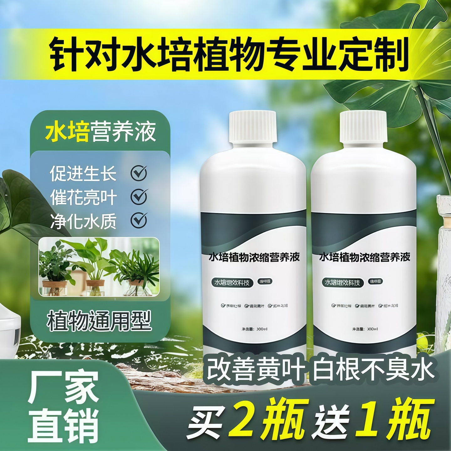 水培植物营养液通用型液体肥料